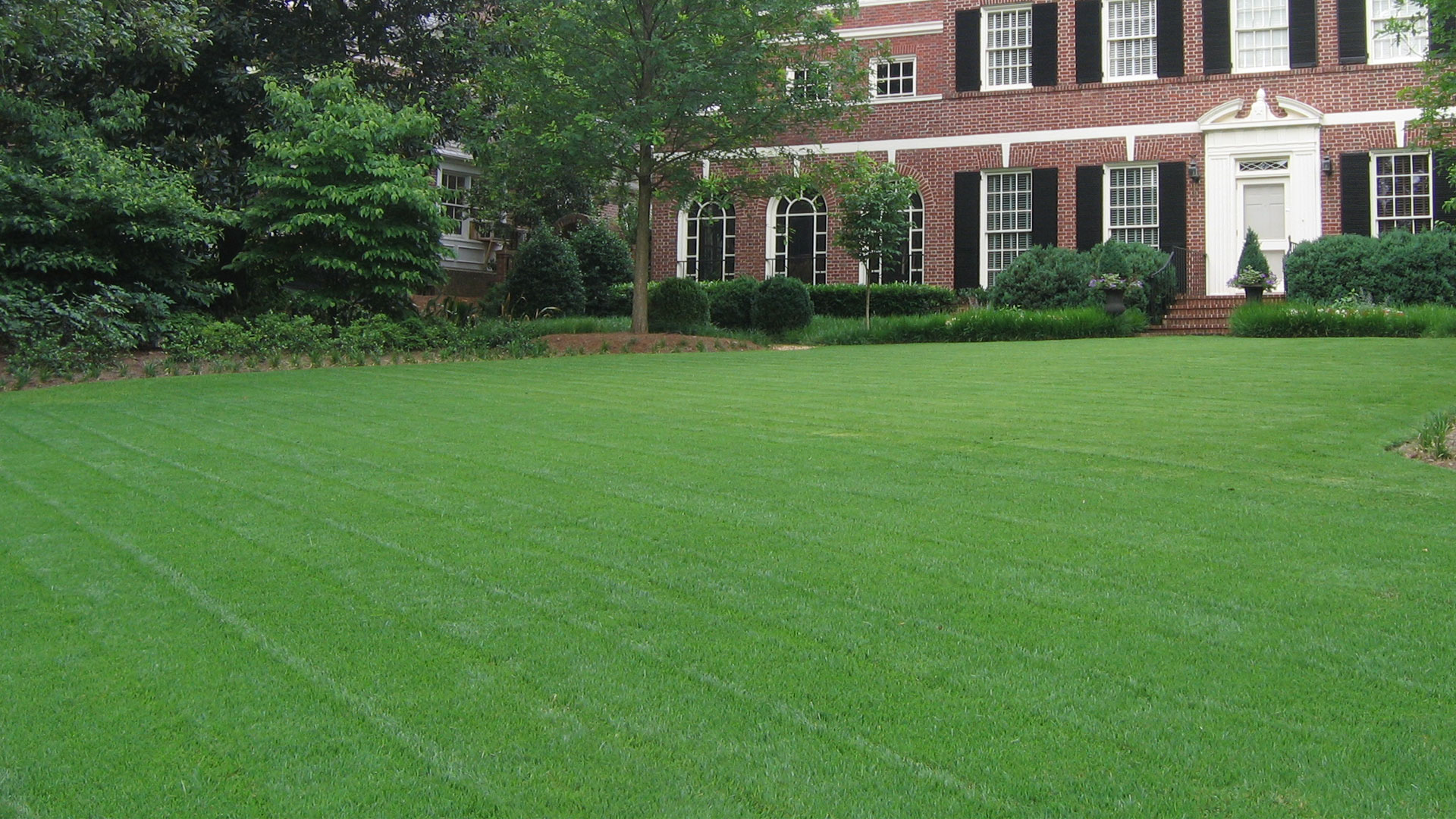Lawn Care & Maintenance in Buckhead, Atlanta, & Smyrna, GA Bloom’n