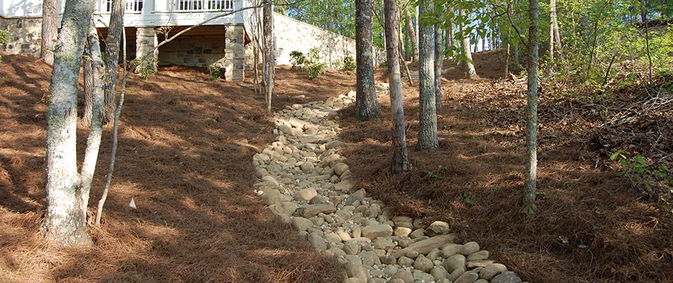 Dry creek bed surrounded with pine straw mulch in Buckhead, GA.