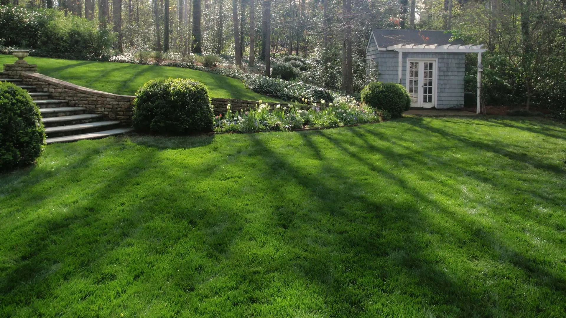 Residential backyard with recently mowed lawn and maintained landscaping in Buckhead, GA.