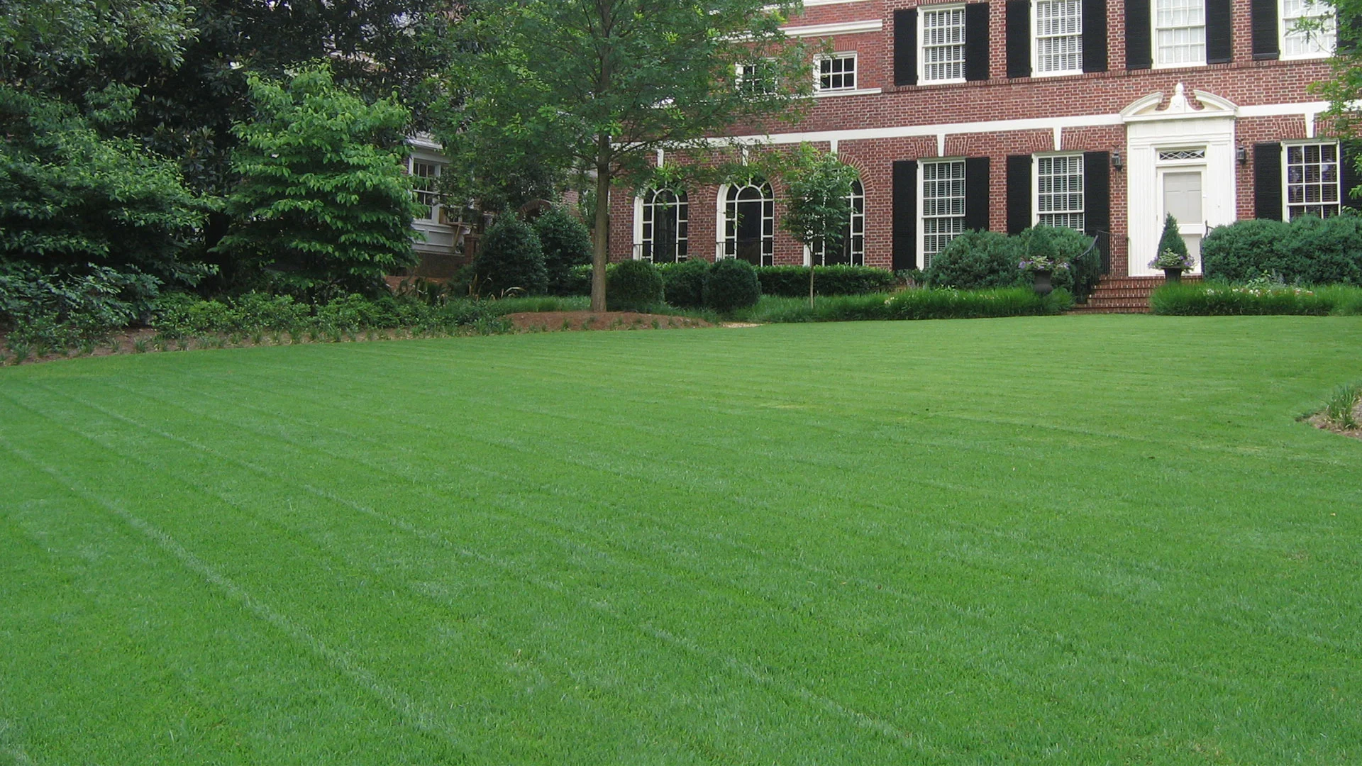 Front lawn of a home in Atlanta that is maintained by our team.