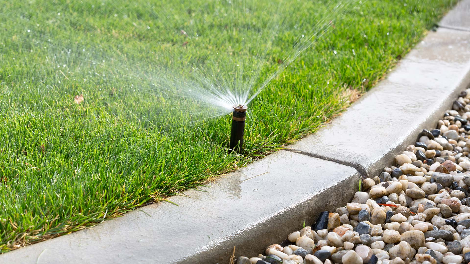 Sprinkler watering a yard in Atlanta, GA.