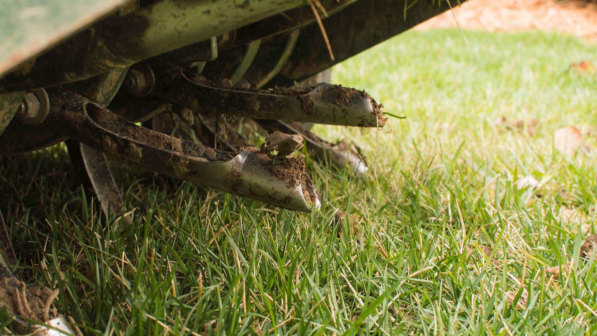Do I Really Need to Aerate My Lawn Every Year?