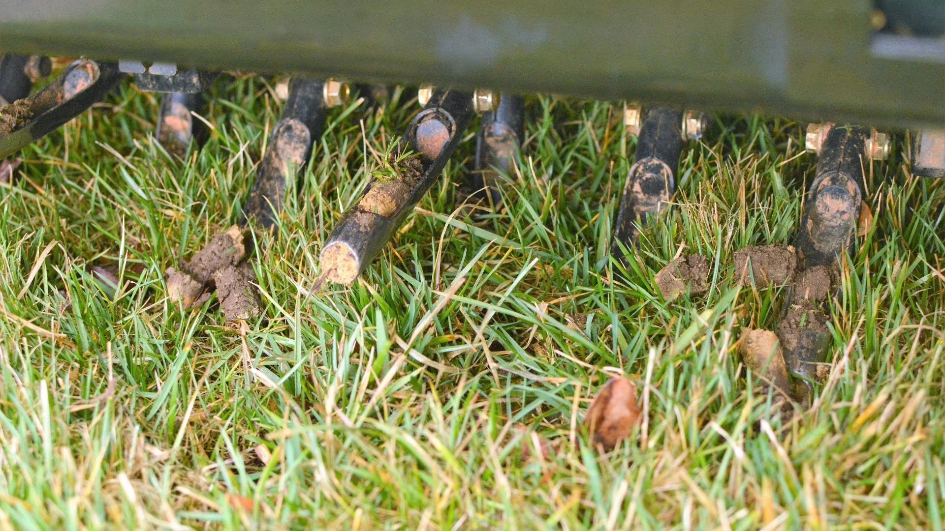 What Is the Actual Point of Core Aeration?