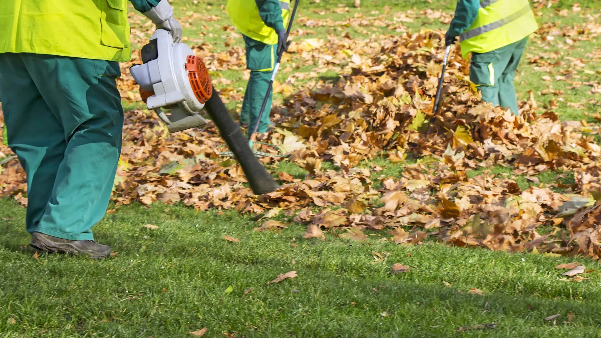 Fall Cleanups - They Do More Than Just Improve the Appearance of Your Lawn!