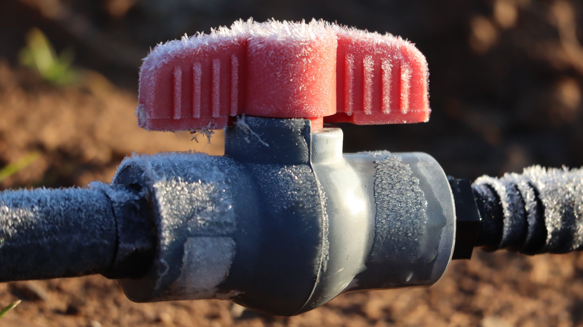 What Can Happen if I Don’t Winterize My Irrigation System This Year?