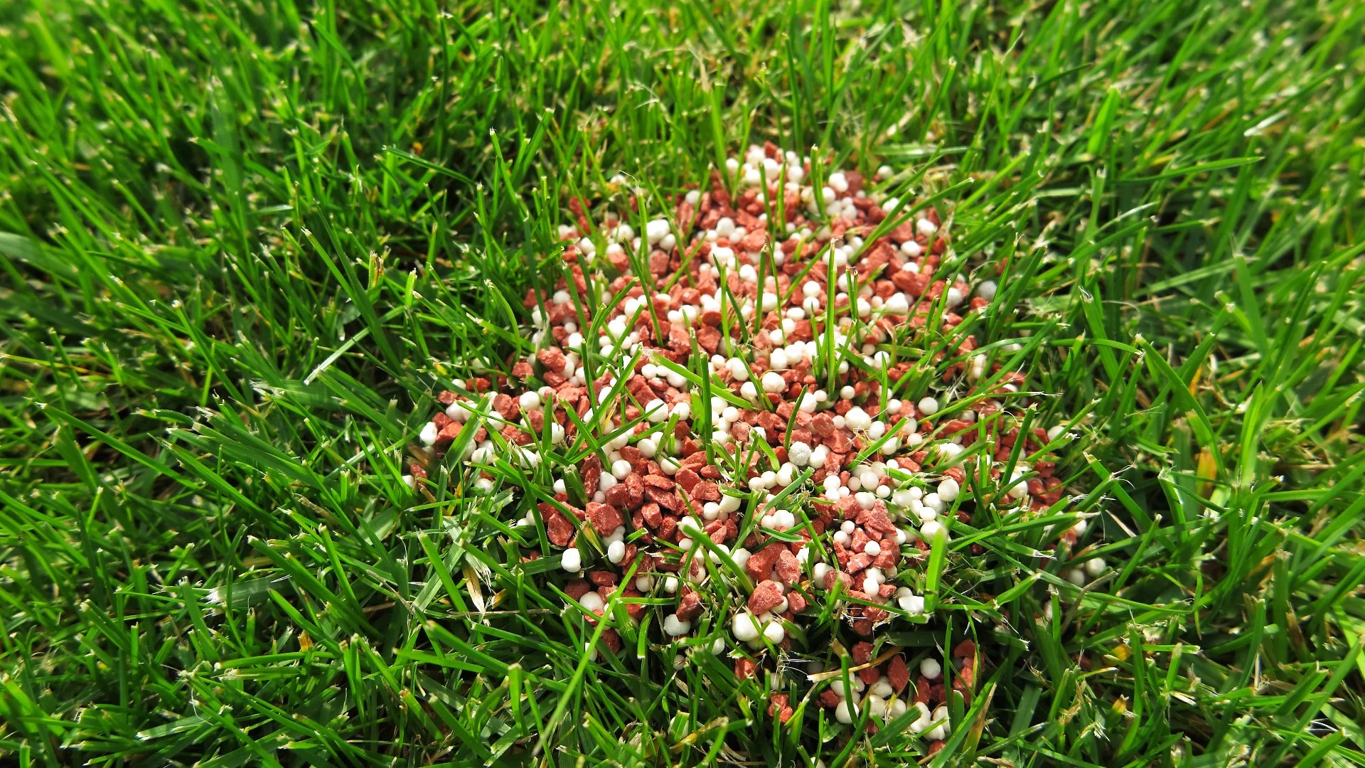 Are There Any Reasons That I Shouldn’t Fertilize My Own Lawn?