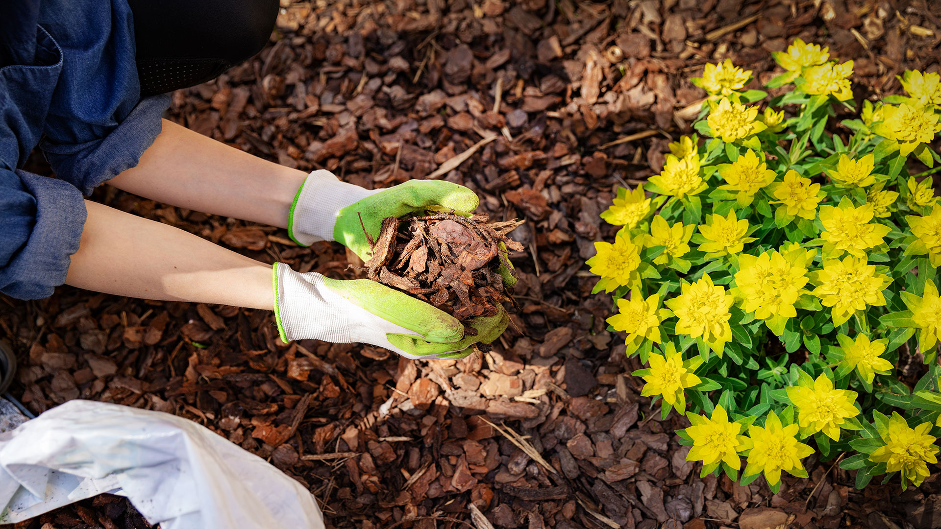 3 Reasons to Have Mulch Installed in Your Landscape Beds