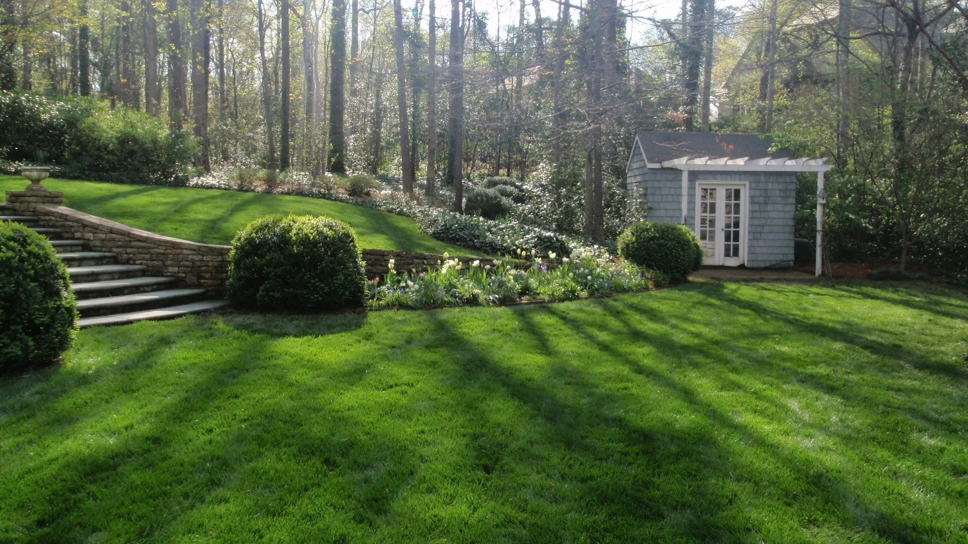 Should You Fertilize Your Lawn Right After It Was Overseeded?