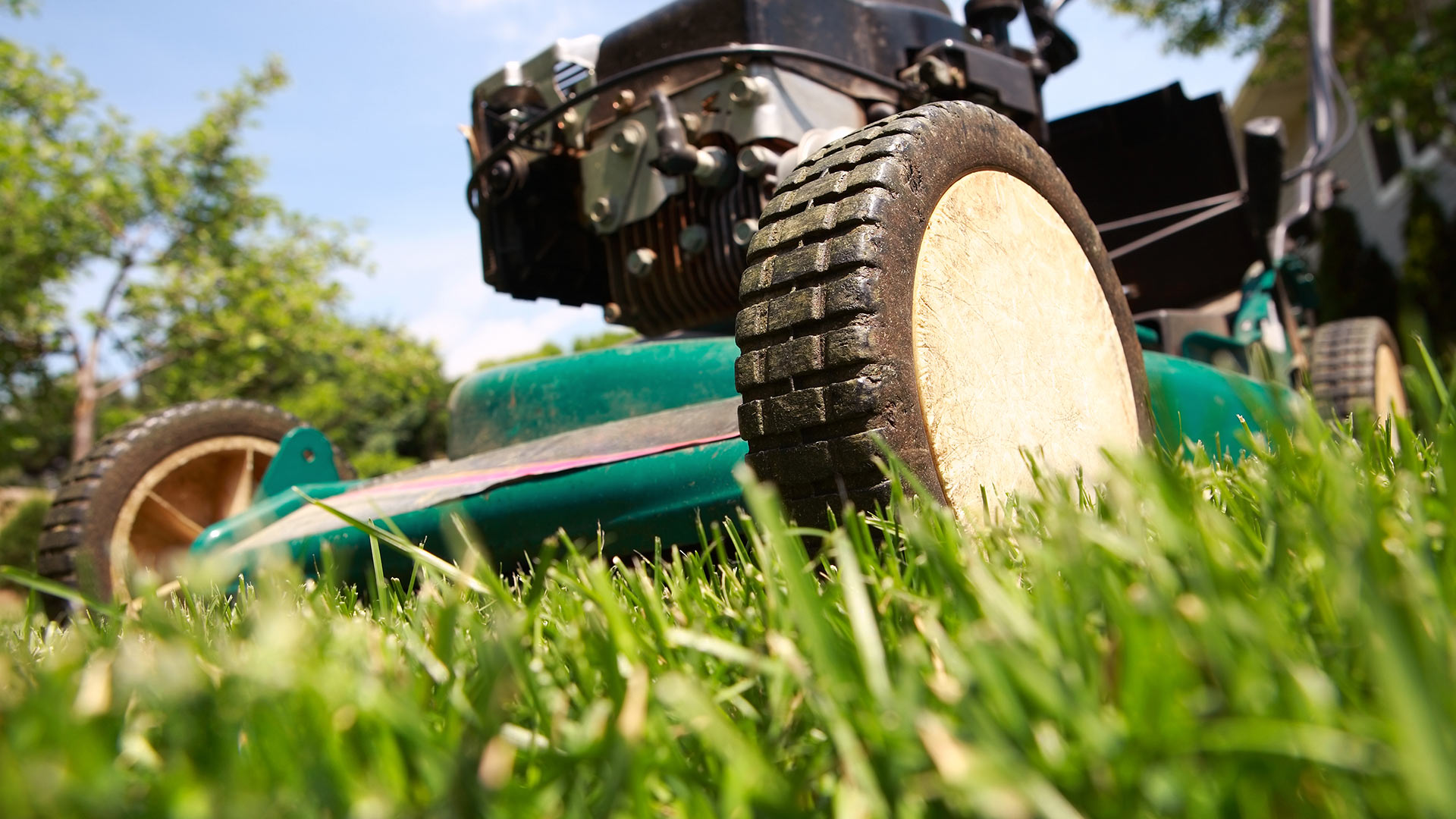 Mowing Your Sod for the First Time? Follow These 3 Rules