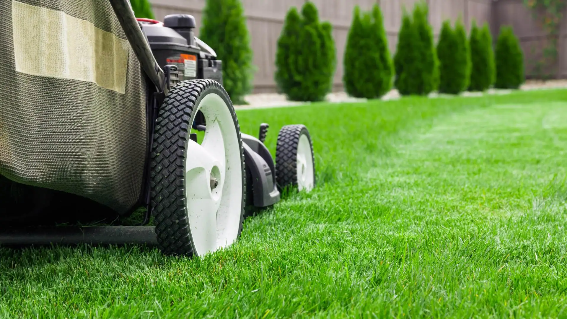 The Fastest Ways to Ruin Your Grass When Mowing Your Lawn