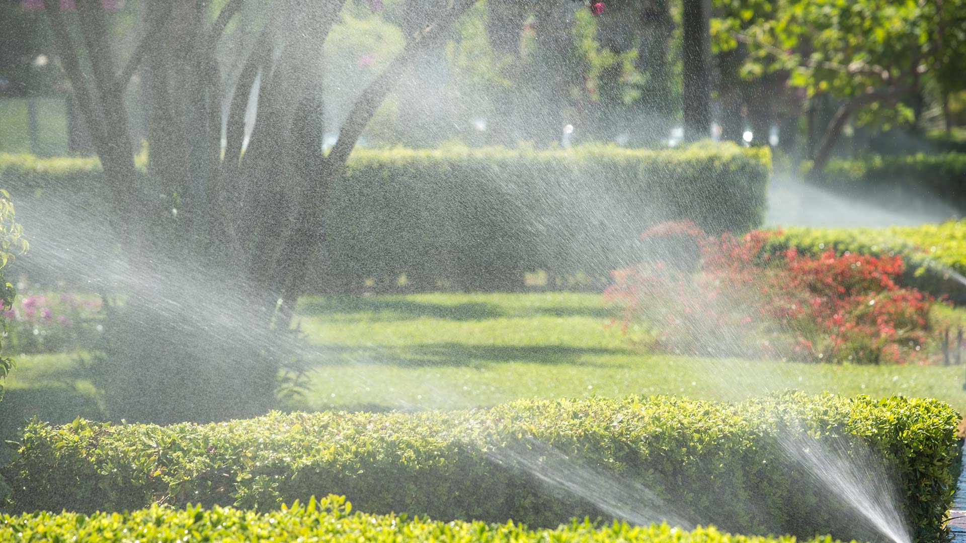 Save Water, Time & Money with an Irrigation System