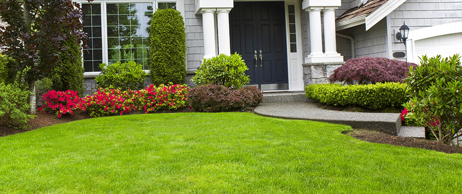 Fertilizer On Lawn