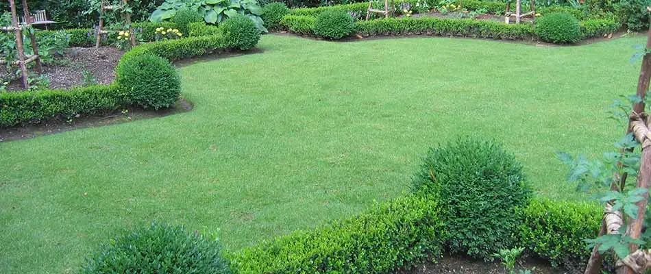 Landscaping in Marietta, GA with regular landscape and lawn maintenance.