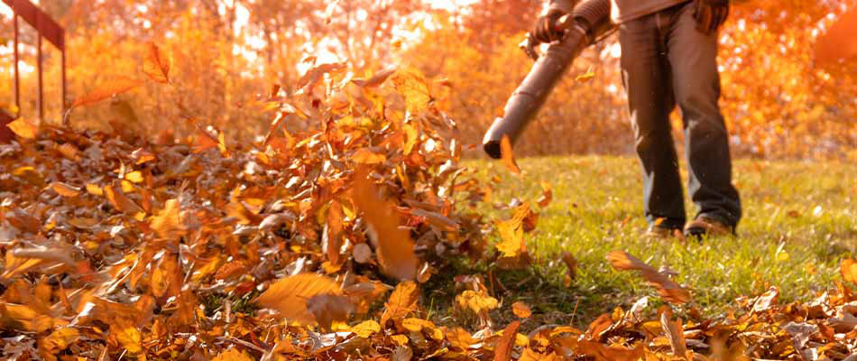 Picture of a person using a leaf blower during a leaf removal service in Atlanta Georgia