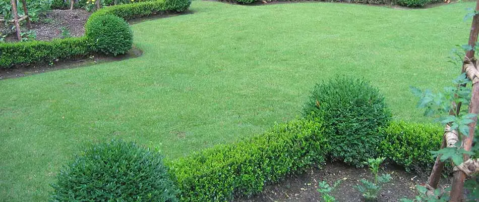 Sod installation completed on a residential back yard in Buckhead, GA.