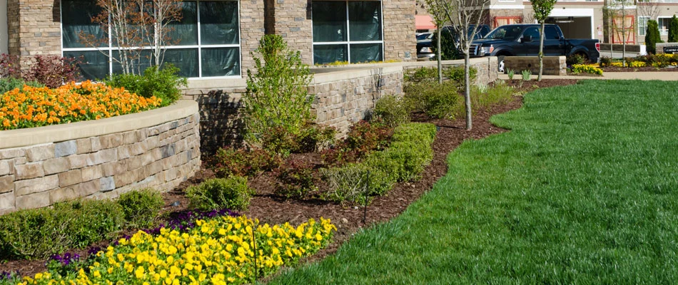 Landscaping we installed in the front of a commercial building located in Atlanta, GA.