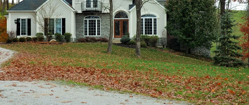 Fall leaves on the front lawn before our cleanup service.