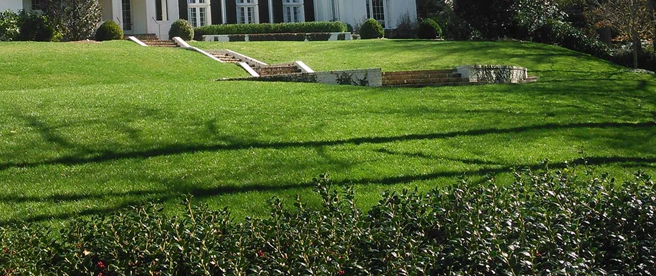 A residential property in Sandy Springs, GA that receives regular lawn care and maintenance services.