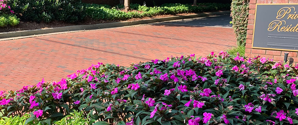 Annual flowers planted at the front entrance of an HOA community in Atlanta, GA.