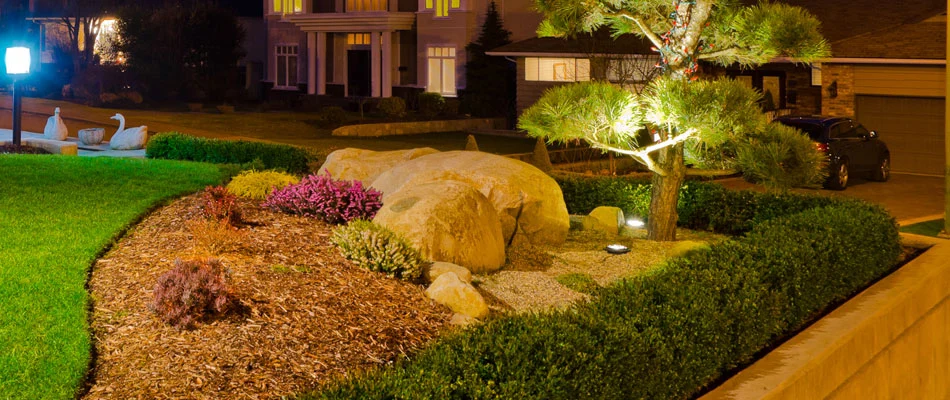 New landscape lighting installed by our team of professionals.