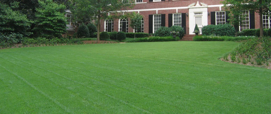 Large yard with healthy grass at a home in Fulton County, GA.