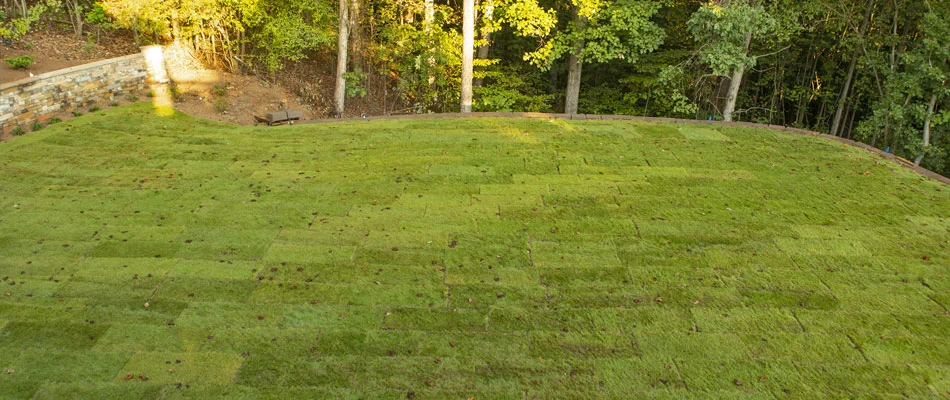 New sod our team installed recently at a home in the Atlanta, Georgia area.
