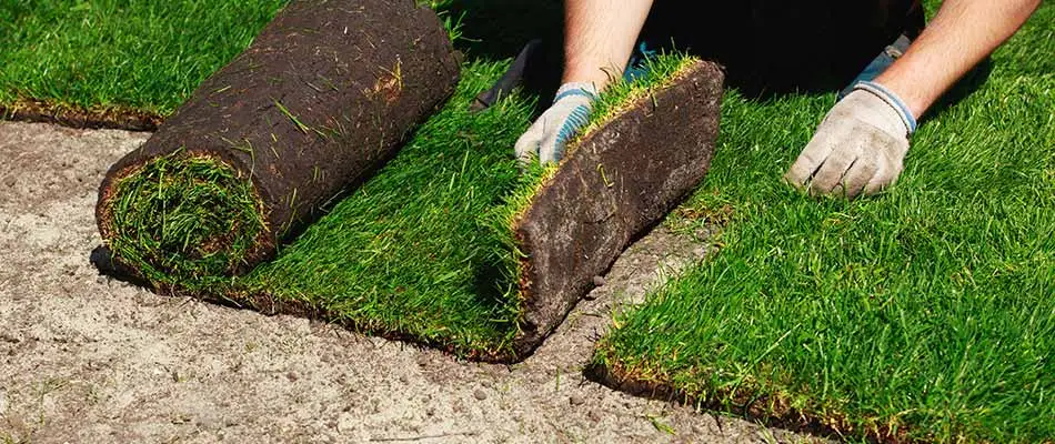 Sod being installed on a Atlanta, GA home property.