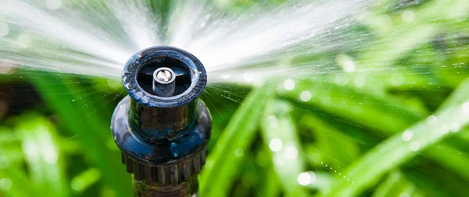 Up close photo of a properly-functioning sprinkler in Smyrna, GA.
