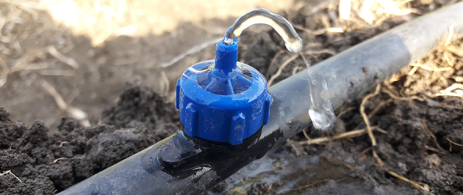A small irrigation system being installed and tested in the ground.