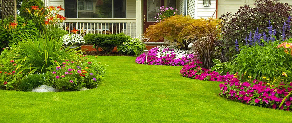 A beautiful lawn with an annual flower bed landscape in place along the edges.