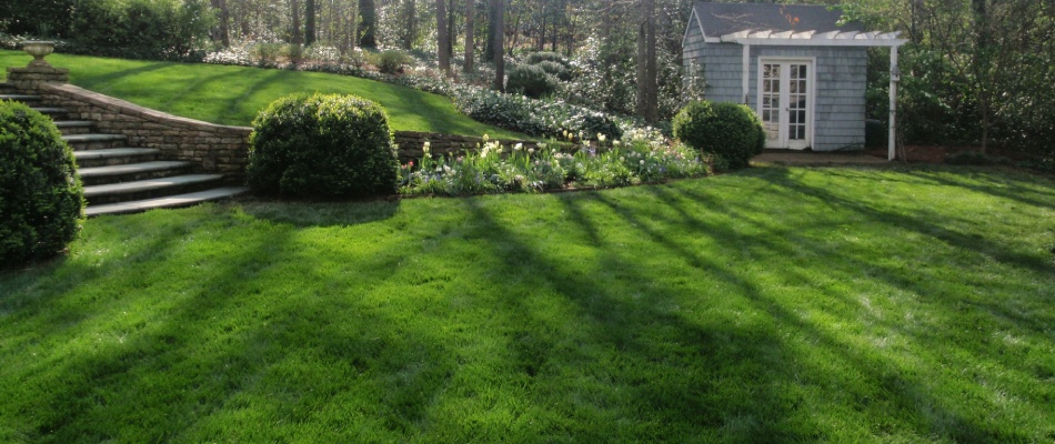 Maintained lawn by Bloom'N Gardens in John Creeks, GA.