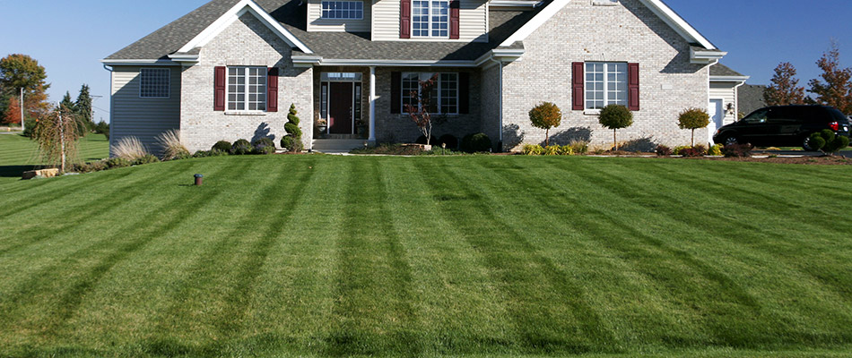 A regularly mowed lawn in front of a home in Vinings, GA. 