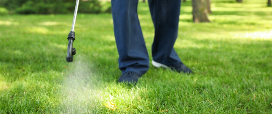 A professional spraying lawn with pre-emergent weed control treatment in Woodhaven, GA.