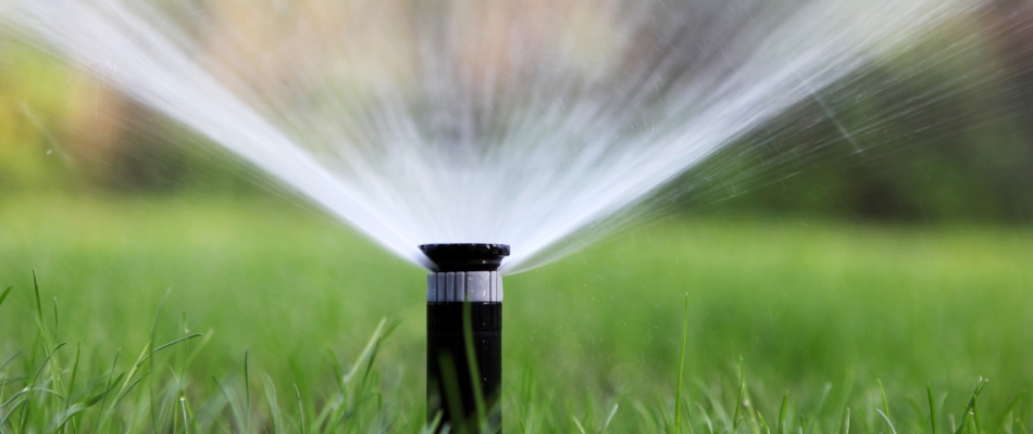 Sprinkler in lawn watering area in Buckhead, GA.