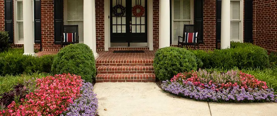 Annual flowers planted by the front door at a home in Atlanta, GA.